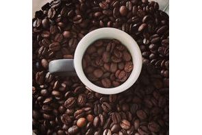 Bean2Sussex *